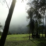 Cabañas Buena Vista