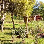 Parque en cabañas y Hostel Buena Vista, El Soberbio, Misiones