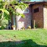 Vista exterior, plantas de mamón papaya, cabañas en El Soberbio, Misiones