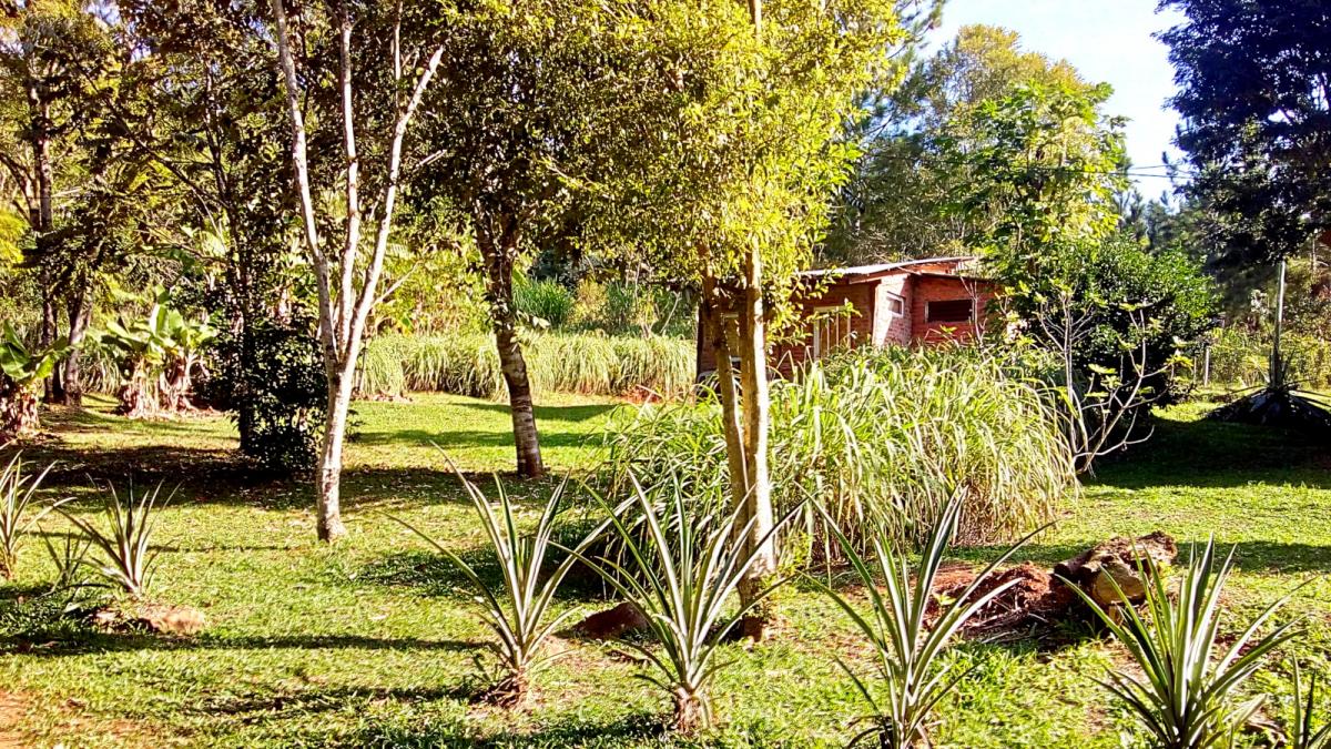 Parque en cabañas y Hostel Buena Vista, El Soberbio, Misiones