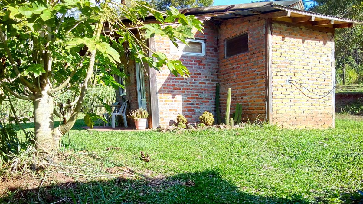 Vista exterior, plantas de mamón papaya, cabañas en El Soberbio, Misiones