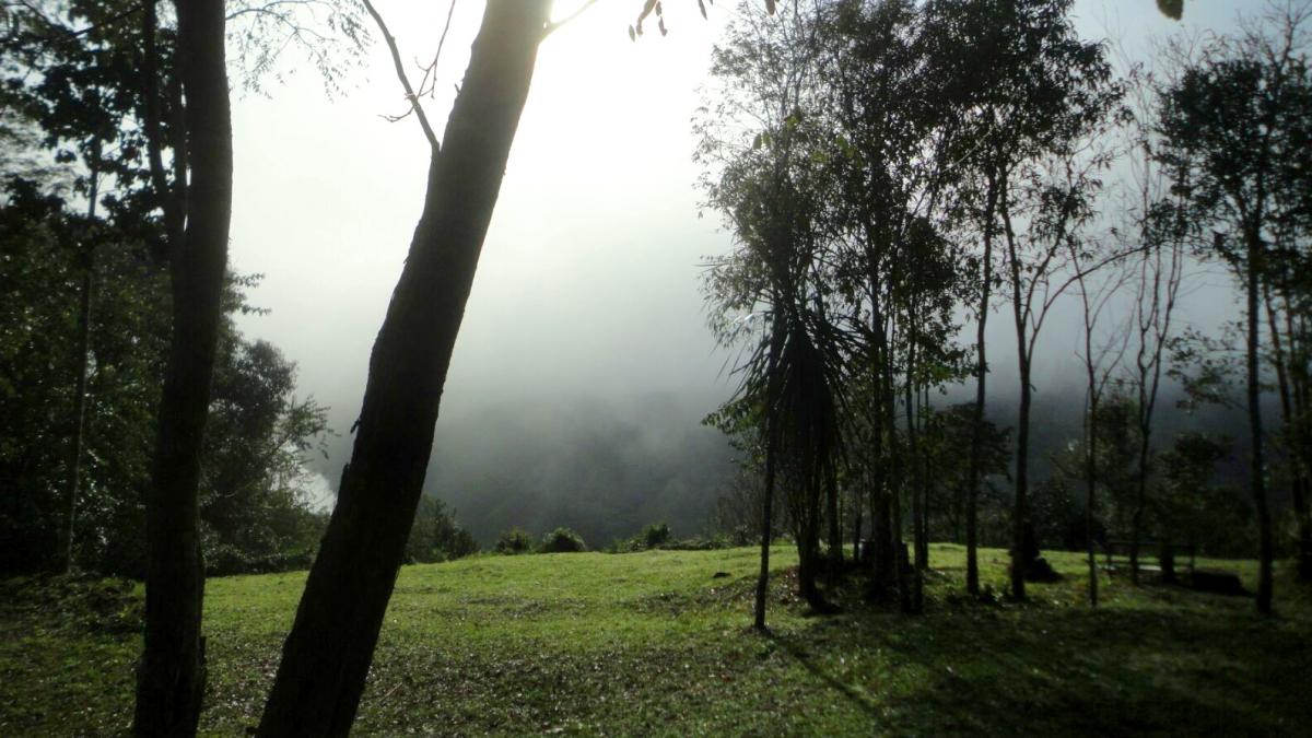 Cabañas Buena Vista