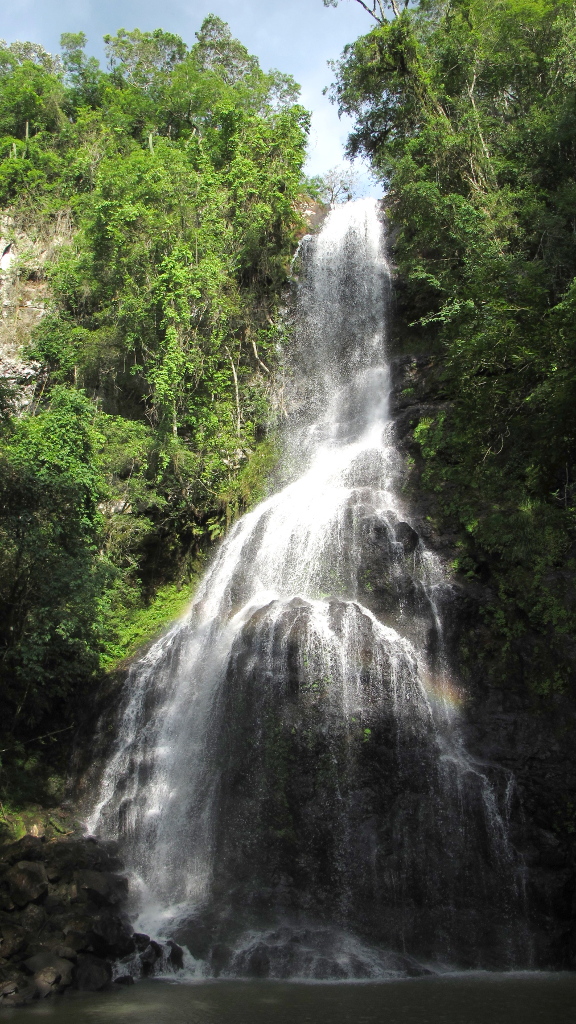 Saltos impresionantes