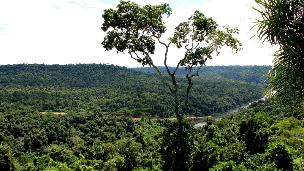 Río Uruguay